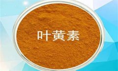 什么是葉黃素？哪些蔬菜富含葉黃素？