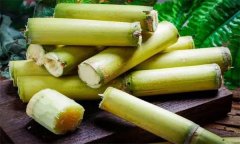 如何選購(gòu)、儲(chǔ)存甘蔗？食用甘蔗應(yīng)注意事項(xiàng)