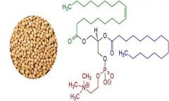 大豆異黃酮對(duì)人體有什么好處 什么食物含量多？