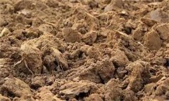 土壤肥力失衡、土壤質(zhì)量下降、土壤酸化怎么辦