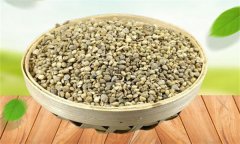 菠菜生長發(fā)育的過程是怎樣的？